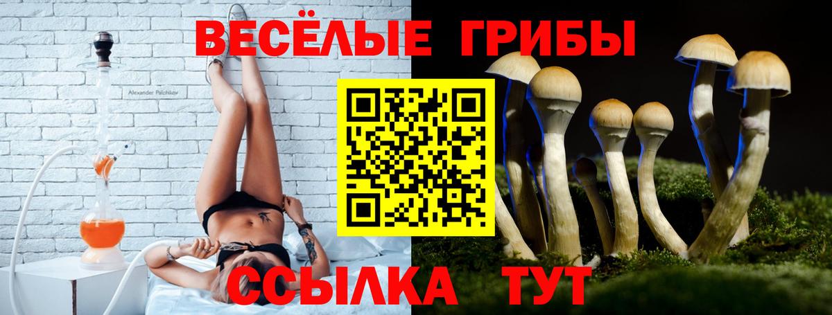 Галлюциногенные грибы мухоморы Кушва